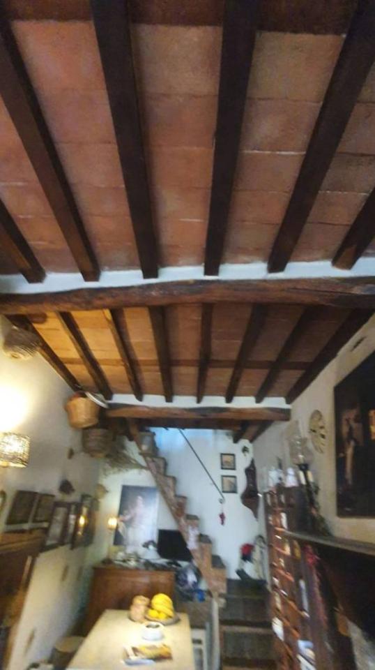 casa indipendente in vendita a Pietrasanta in zona Capezzano Monte
