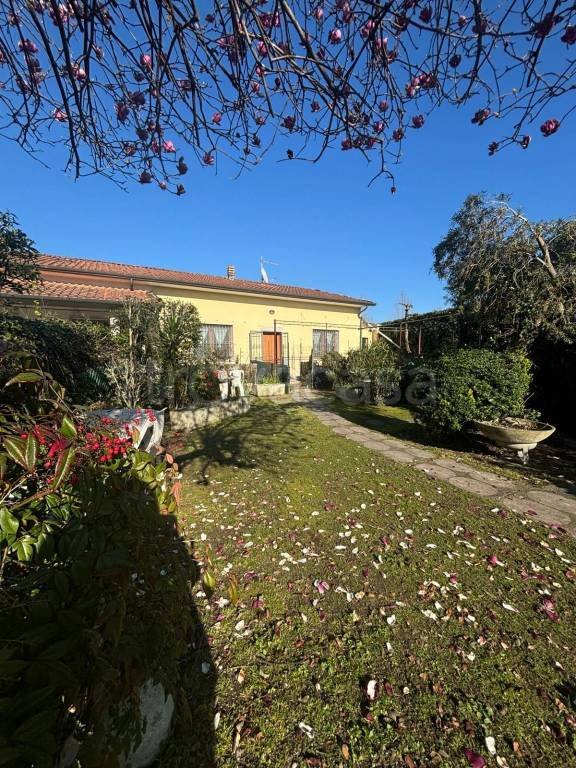 casa indipendente in vendita a Pietrasanta