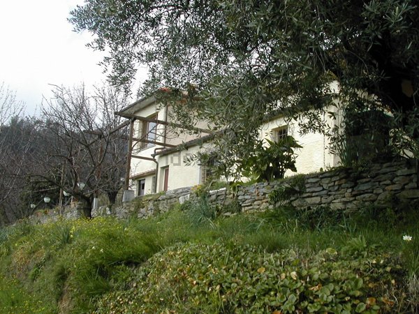 casa indipendente in vendita a Pietrasanta in zona Strettoia