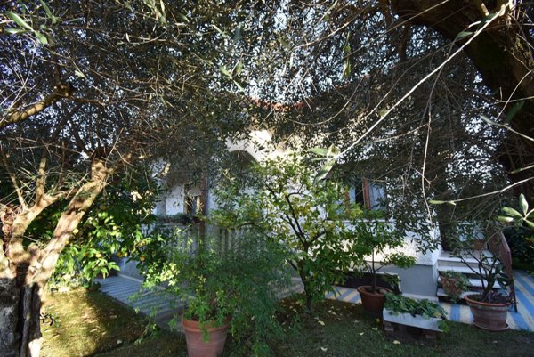 casa indipendente in vendita a Pietrasanta