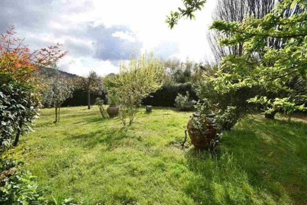 casa indipendente in vendita a Pietrasanta in zona Strettoia
