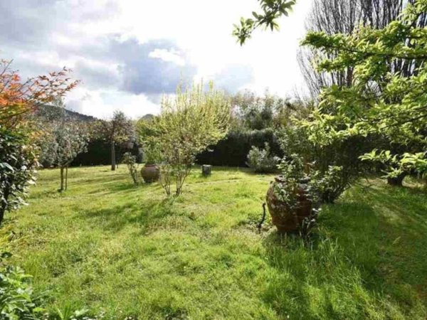 casa indipendente in vendita a Pietrasanta in zona Strettoia