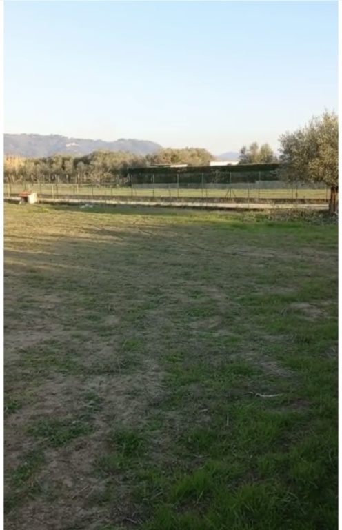terreno agricolo in vendita a Pietrasanta