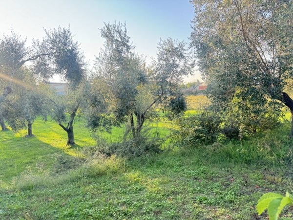 terreno edificabile in vendita a Pietrasanta