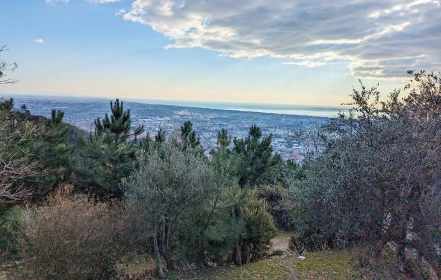casa indipendente in vendita a Pietrasanta in zona Capriglia