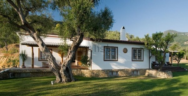 casa indipendente in vendita a Pietrasanta