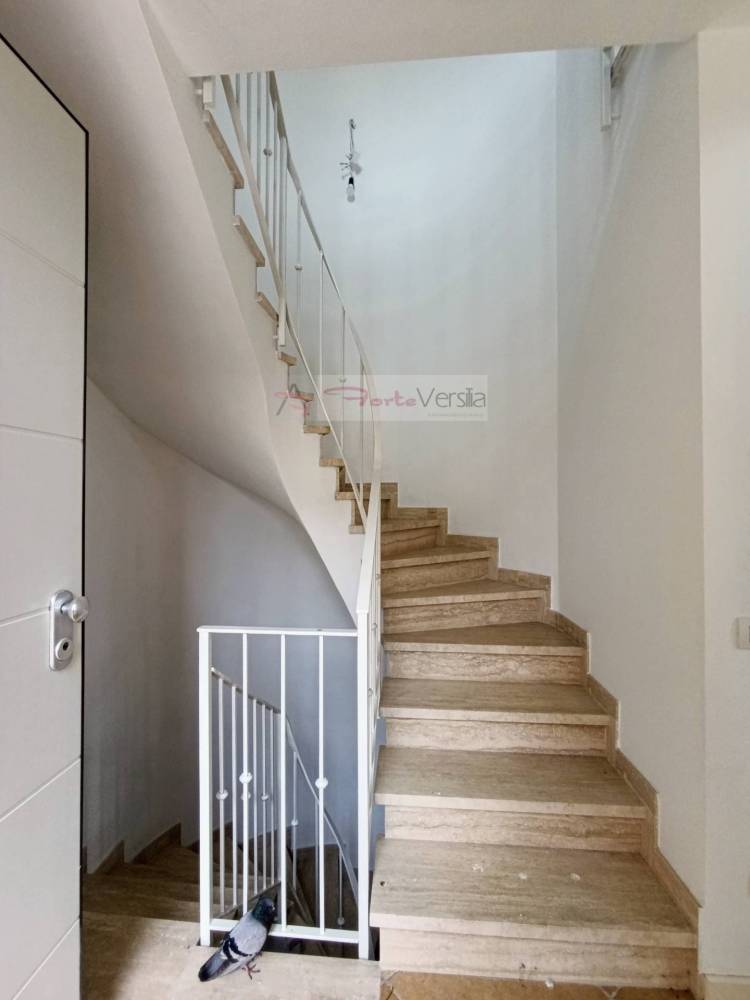 casa indipendente in vendita a Pietrasanta in zona Marina di Pietrasanta