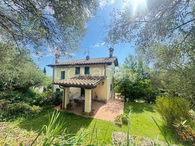 casa indipendente in vendita a Pietrasanta in zona Marina di Pietrasanta