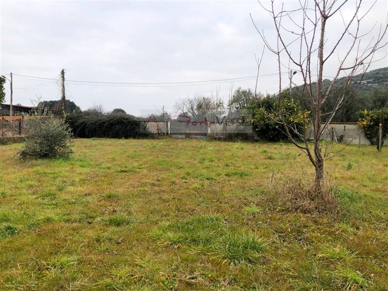 terreno agricolo in vendita a Pietrasanta in zona Strettoia