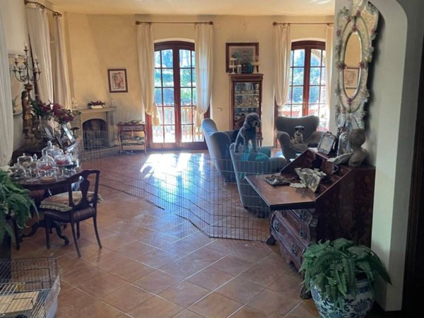 casa indipendente in vendita a Pietrasanta in zona Tonfano