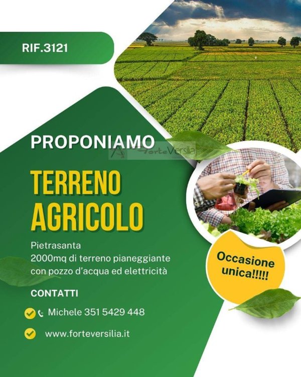 terreno agricolo in vendita a Pietrasanta in zona Traversagna