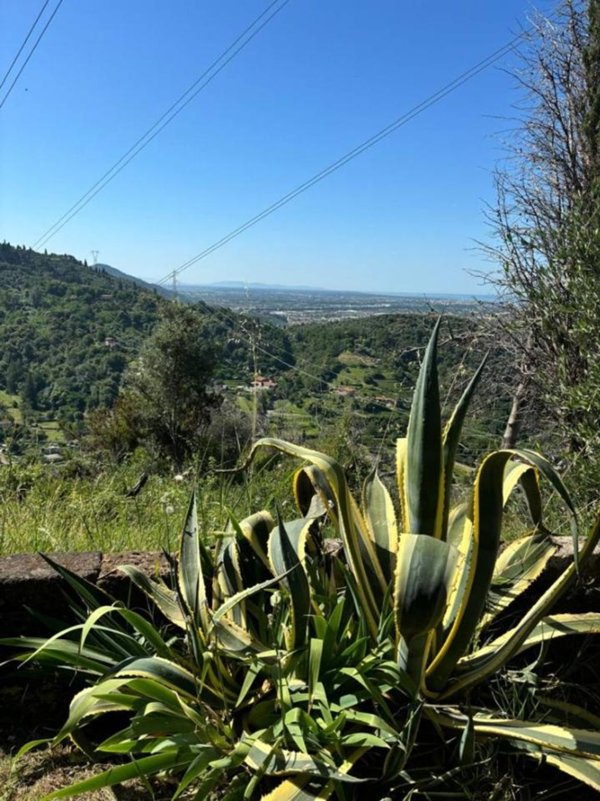 terreno agricolo in vendita a Pietrasanta in zona Valdicastello