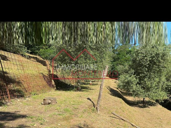 casa indipendente in vendita a Pietrasanta