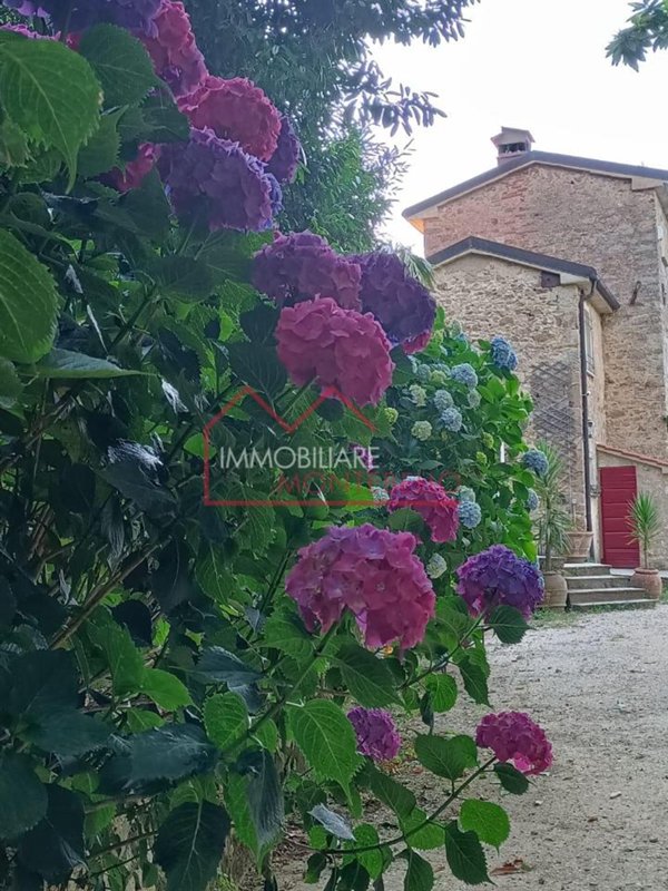 casa indipendente in vendita a Pietrasanta