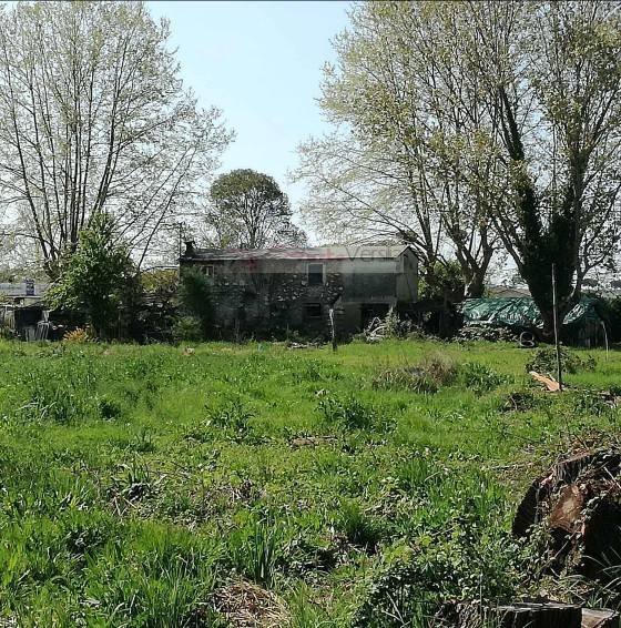 terreno agricolo in vendita a Pietrasanta