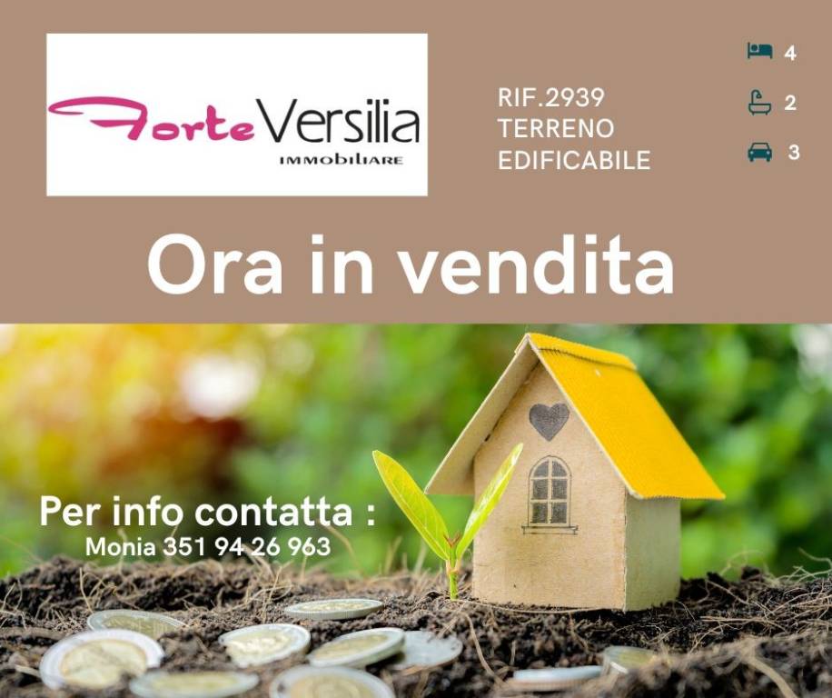 terreno agricolo in vendita a Pietrasanta