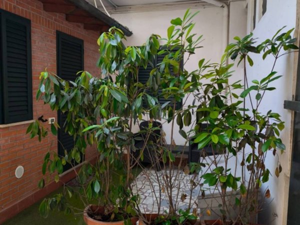 casa indipendente in vendita a Pietrasanta in zona Tonfano
