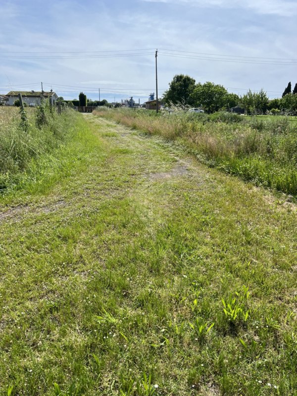 terreno agricolo in vendita a Pietrasanta