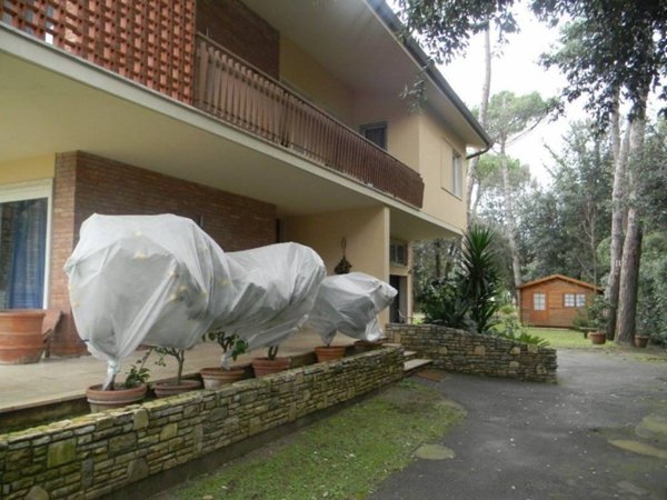 casa indipendente in vendita a Pietrasanta in zona Vignone