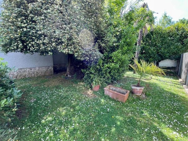 casa indipendente in vendita a Pietrasanta