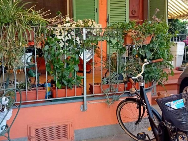 casa indipendente in vendita a Pietrasanta