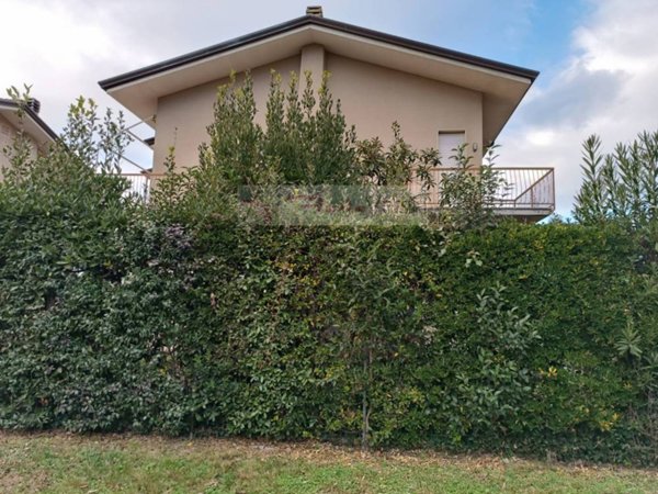 casa indipendente in vendita a Pietrasanta in zona Tonfano