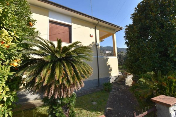casa indipendente in vendita a Pietrasanta in zona Strettoia
