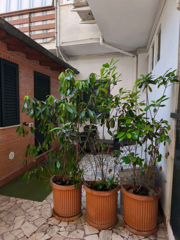 appartamento in vendita a Pietrasanta in zona Tonfano