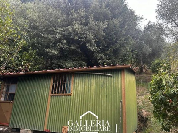 terreno agricolo in vendita a Pietrasanta
