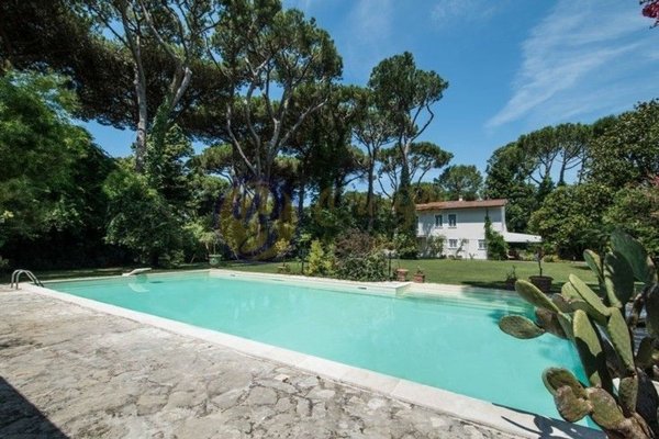 casa indipendente in vendita a Pietrasanta in zona Motrone