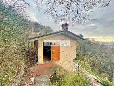 casa indipendente in vendita a Pietrasanta in zona Capezzano Monte