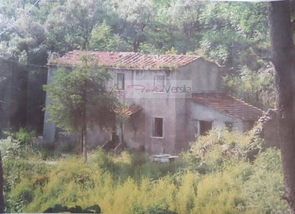 casa indipendente in vendita a Pietrasanta in zona Strettoia