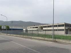 negozio in affitto a Pietrasanta