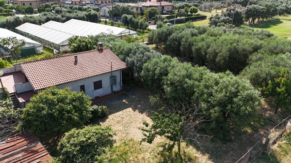 pentavano in vendita a Pietrasanta in zona Crociale