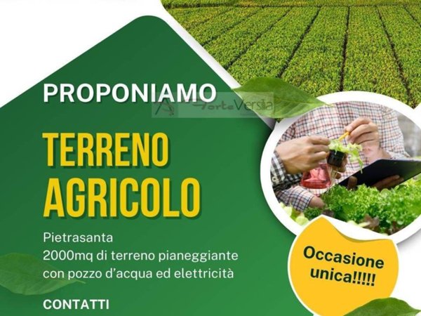 terreno agricolo in vendita a Pietrasanta in zona Traversagna