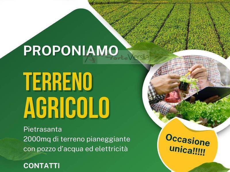 terreno agricolo in vendita a Pietrasanta in zona Traversagna