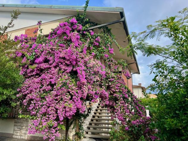 casa indipendente in vendita a Pietrasanta
