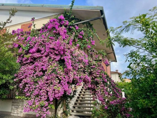 casa indipendente in vendita a Pietrasanta