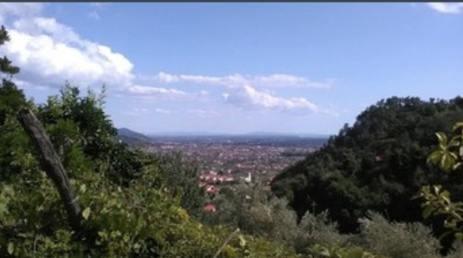 pentavano in vendita a Pietrasanta in zona Strettoia
