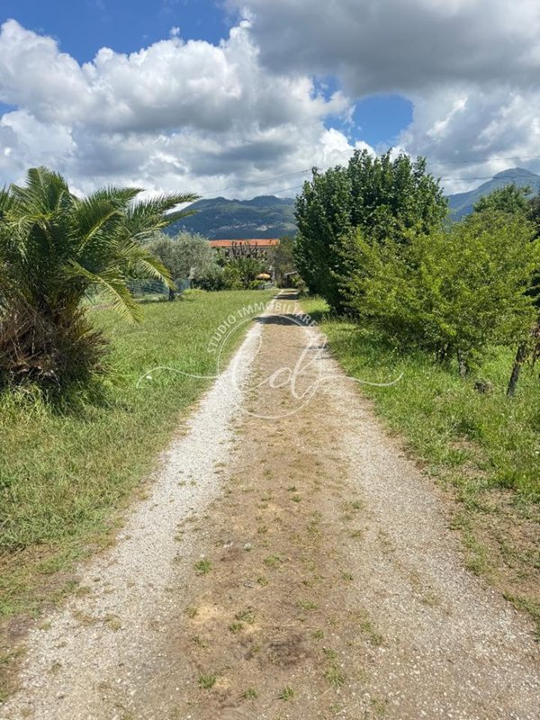casa indipendente in vendita a Pietrasanta in zona Marina di Pietrasanta