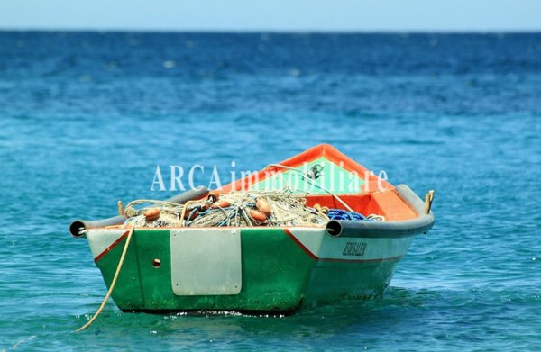 negozio in vendita a Pietrasanta