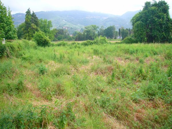 terreno edificabile in vendita a Pietrasanta in zona Strettoia