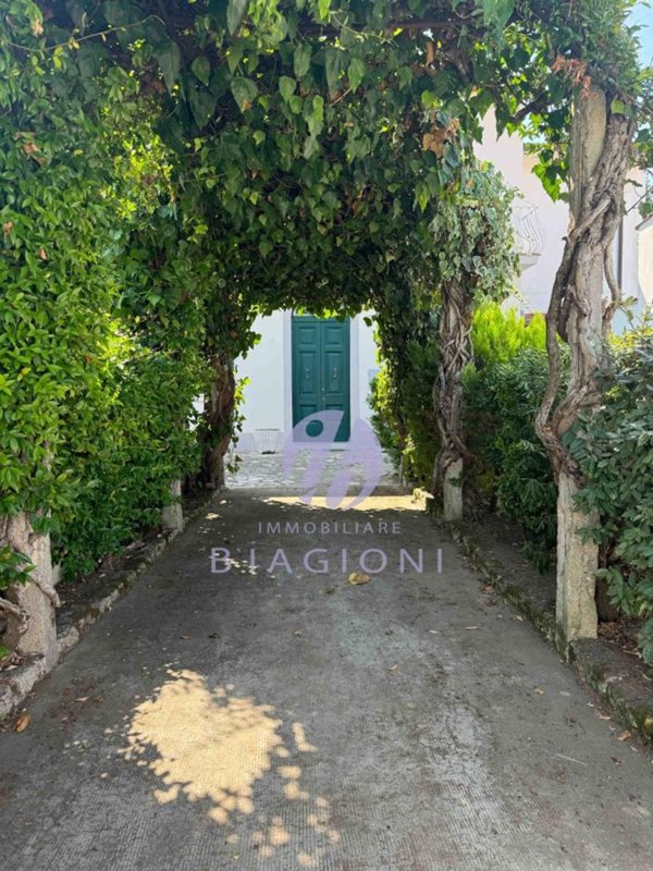 casa indipendente in vendita a Pietrasanta in zona Tonfano