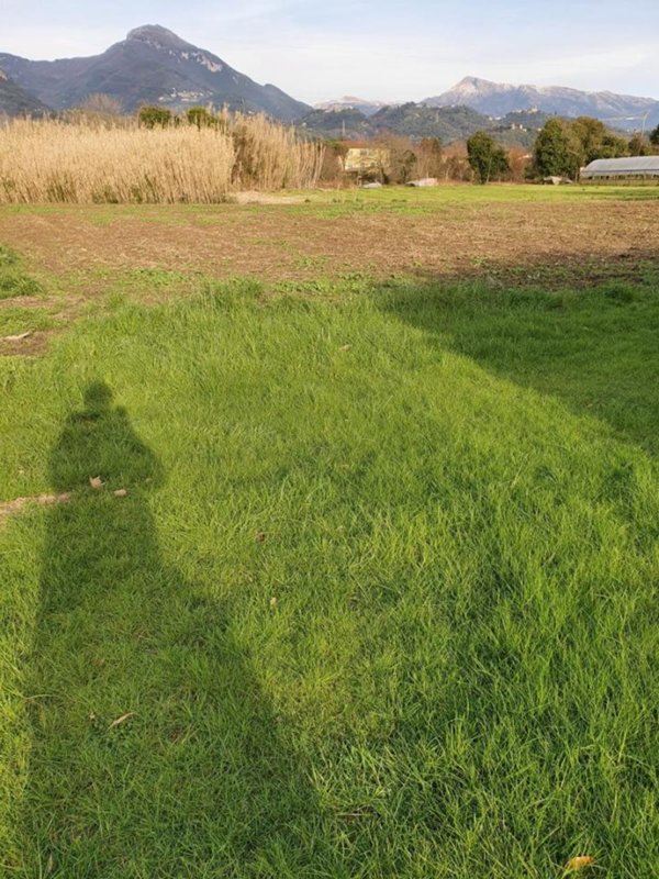 terreno agricolo in vendita a Pietrasanta