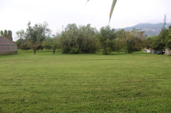 terreno agricolo in vendita a Pietrasanta