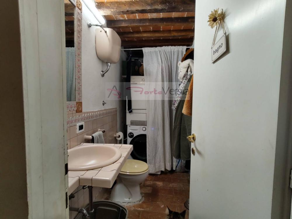 casa indipendente in vendita a Pietrasanta in zona Crociale