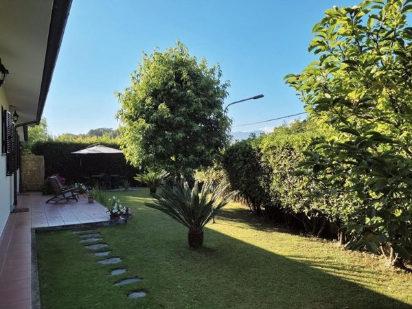 casa indipendente in vendita a Pietrasanta in zona Capriglia