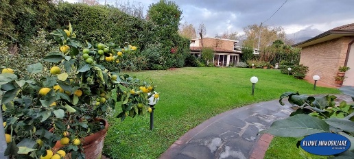 casa indipendente in vendita a Pietrasanta in zona Marina di Pietrasanta