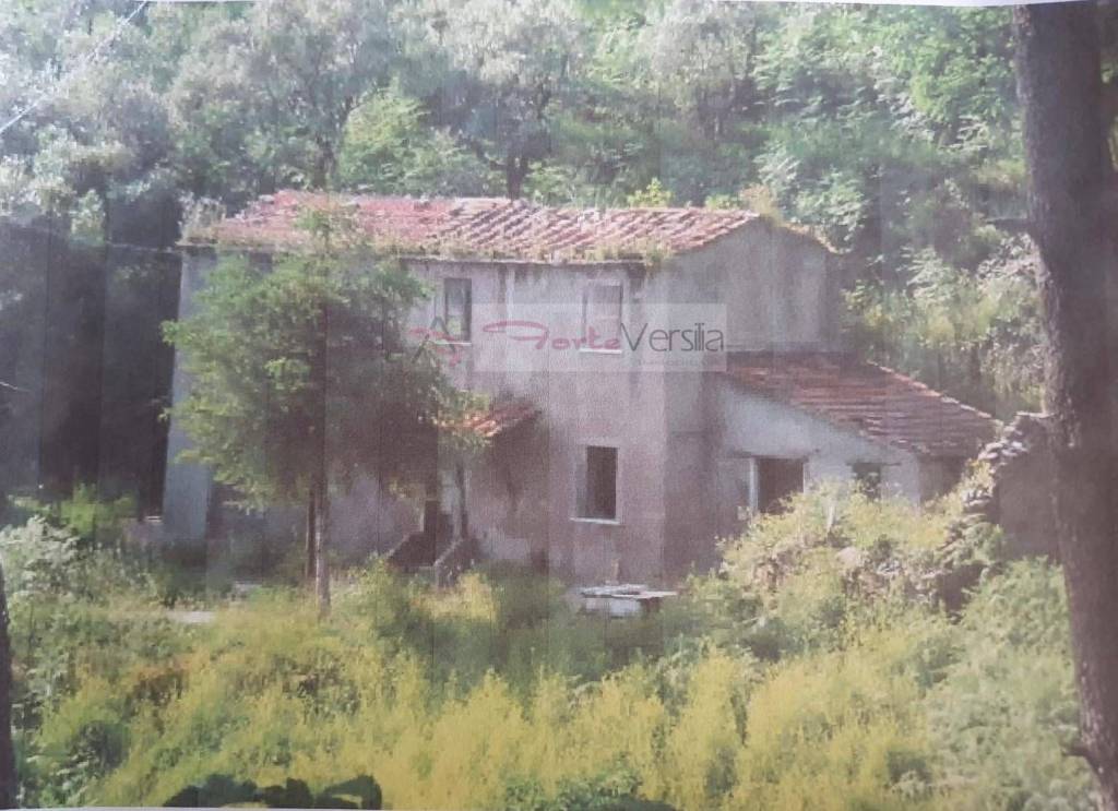 casa indipendente in vendita a Pietrasanta in zona Strettoia