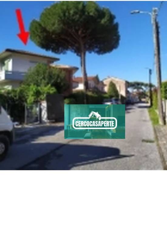 appartamento in vendita a Pietrasanta in zona Vignone